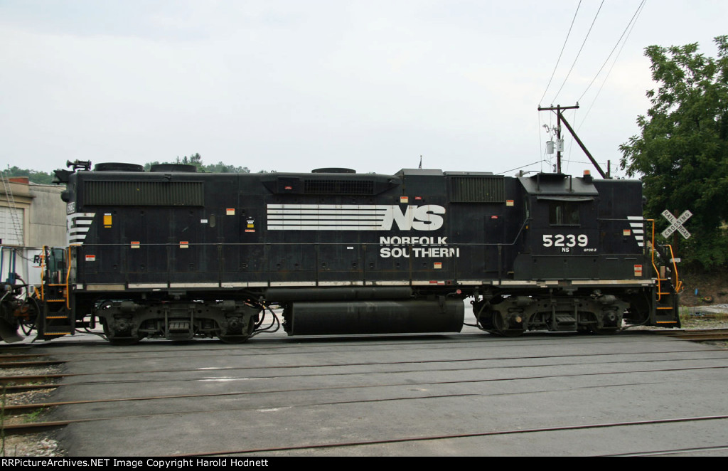 NS 5239